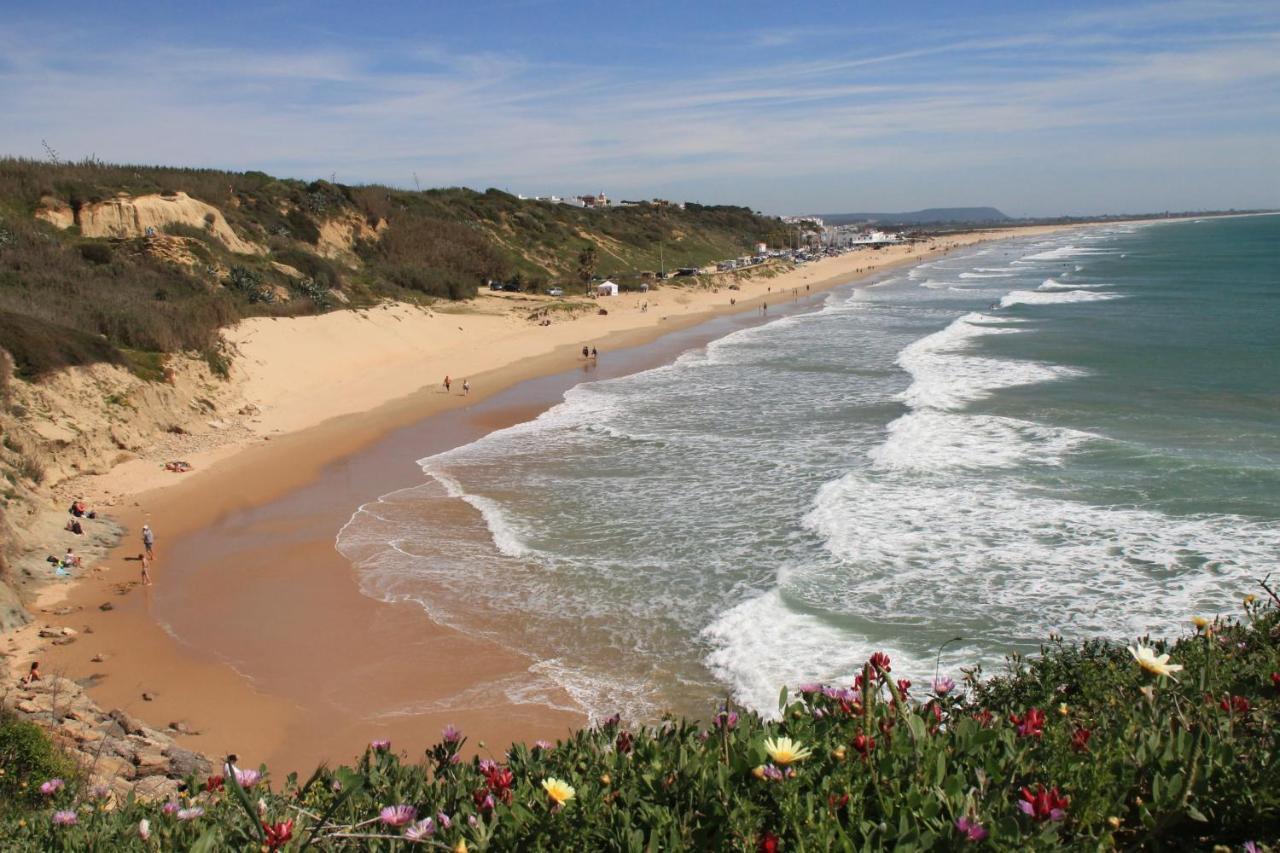 Estudio En El Centro De Conil Коніль-де-ла-Фронтера Екстер'єр фото